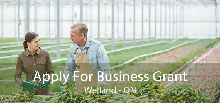 Apply For Business Grant Welland - ON